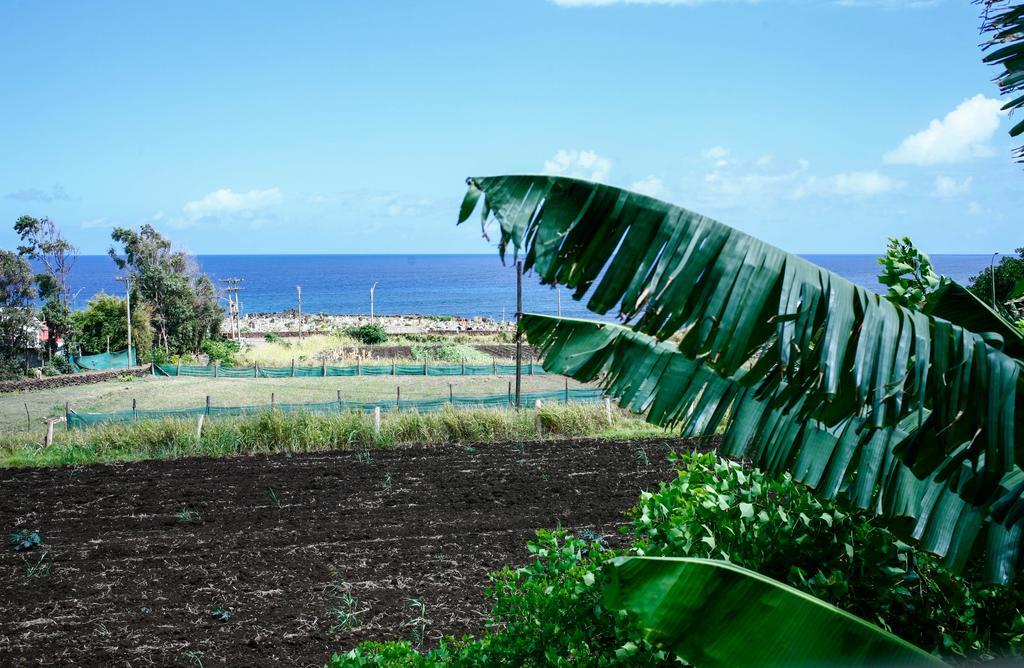 Cabañas Keuhenua Hanga Roa Exterior foto