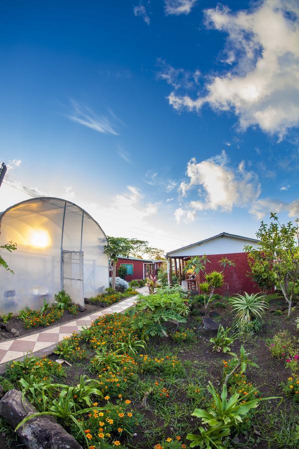 Cabañas Keuhenua Hanga Roa Exterior foto